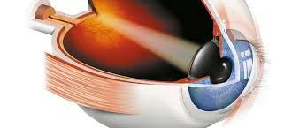 The eye.jpg